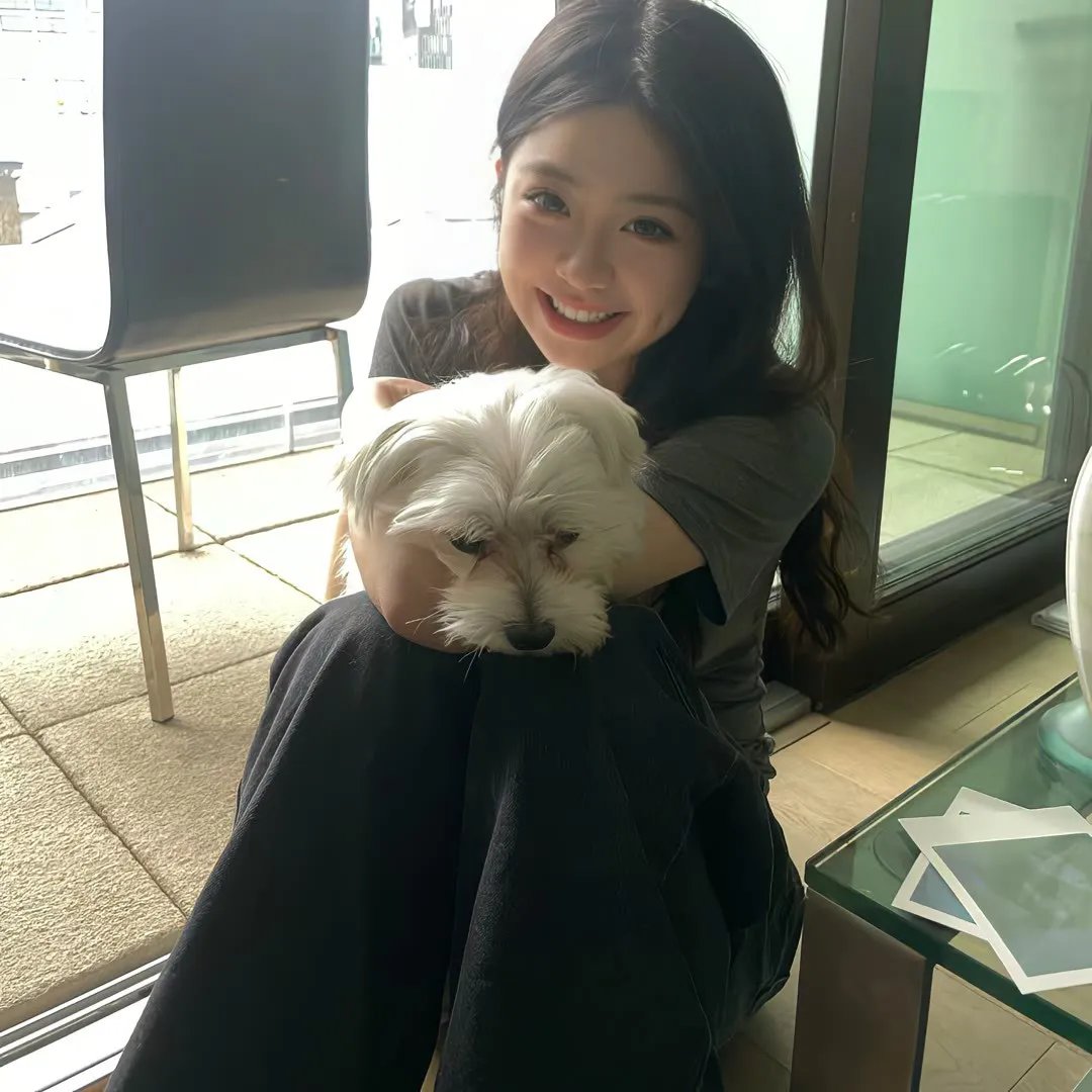 黑皮书 海报