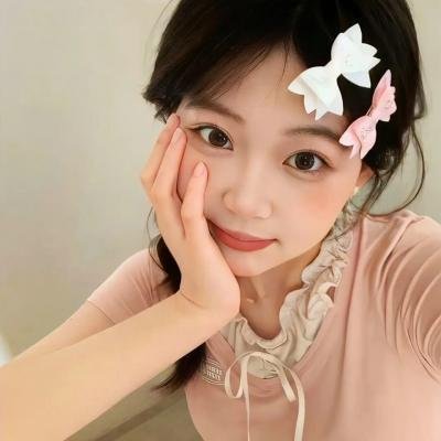 鹬 海报